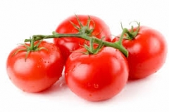 pomidor gałązka